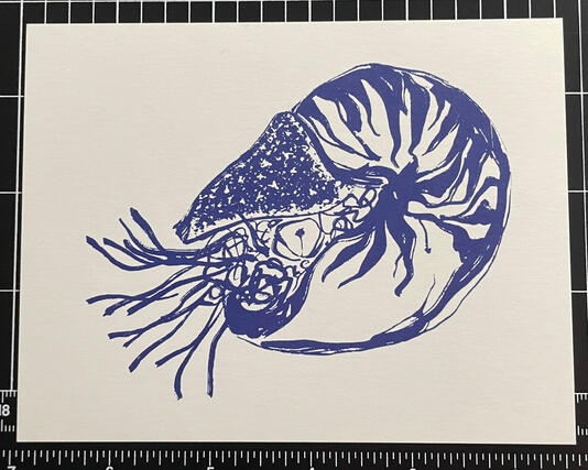 Nautilus